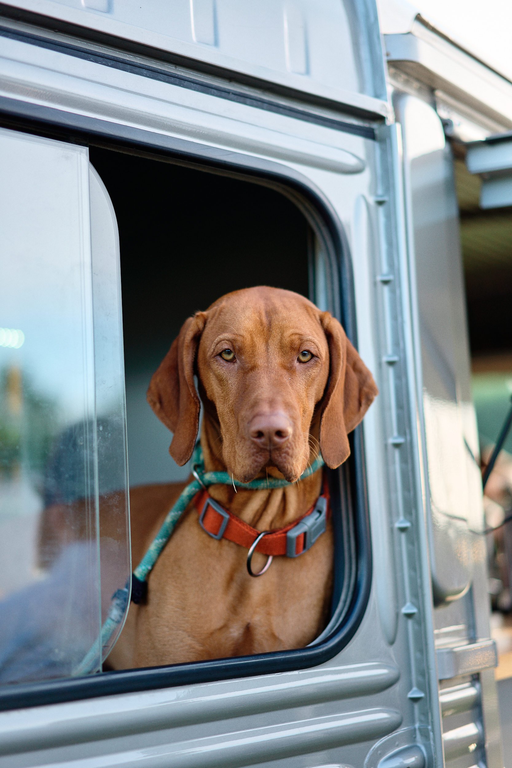  Naomi and Tom Wedding 