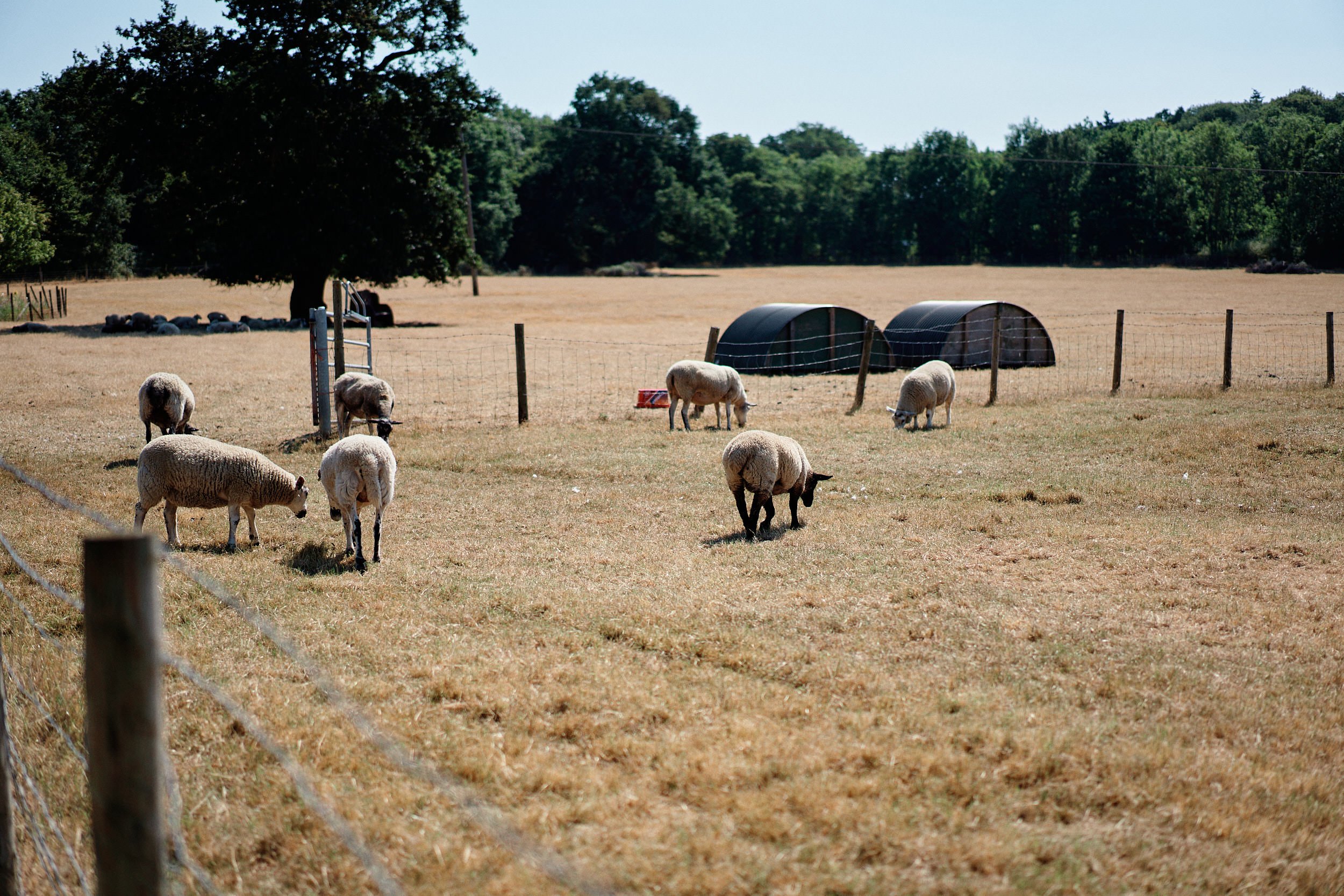  Zoe and Andrew wedding Stoke Farm Barn 